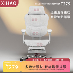人体工学椅舒适久坐办公椅家用办公午睡两用座椅宿舍电竞椅子