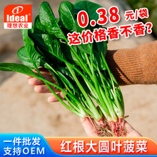 A~˷Nltļ˷NѶͺ߲˷NrҷN