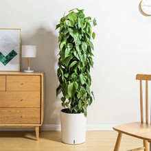 �S��ֱ�I��G�}������ˮ����͏d�A�δ�̖��ɫ���ϴ����̈��҃�