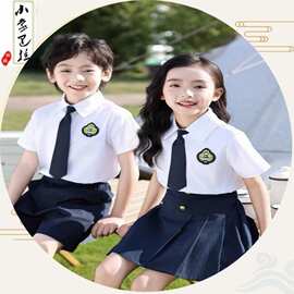 幼儿园毕业照服装夏季学院儿童班服中小学生校服套装合唱演出服