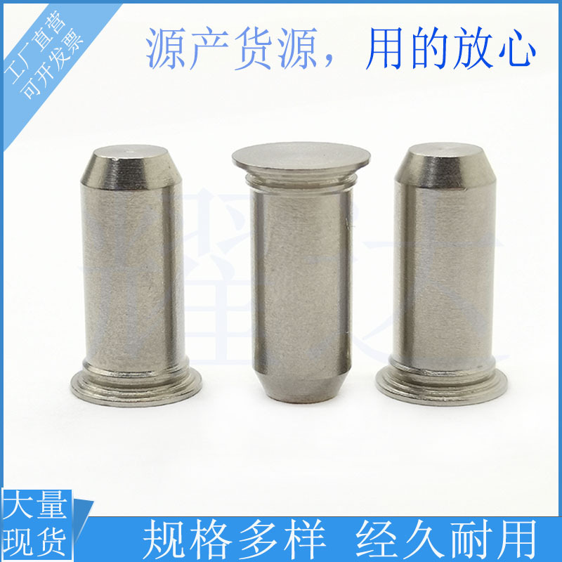 批发标准销
圆定位销TPS-250-8/10/12/16固定导向销钉不锈钢铆钉