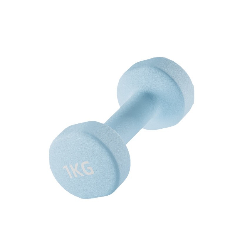 Dumbbelle mujer acondicionamiento físico equipo doméstico para niños y hombres combinación de hierro puro Dumbbelle entrenamiento braquial de la escuela primaria