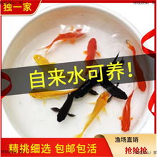 ���ô����Ľ��~С���~���B�ͻ�С�~�B�����ԁ�ˮ���~�\�������ȫ