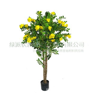 �����S������ �S���~�������~�����~�@�־��^�쾰�Ҿ��b����