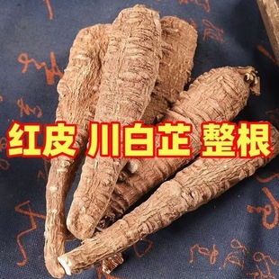 ����Ʒ���Ĵ����Ƃ�������؛���ư��ƹ����l���Ƹ����l������؛