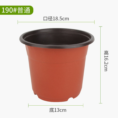 190#18.5*16.2*13 Common【500】