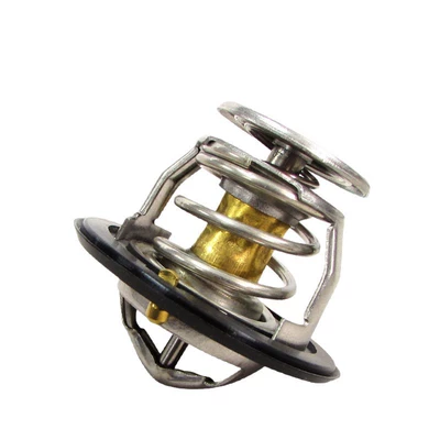 G10 Thermostat 10048222-9 – Thermostat