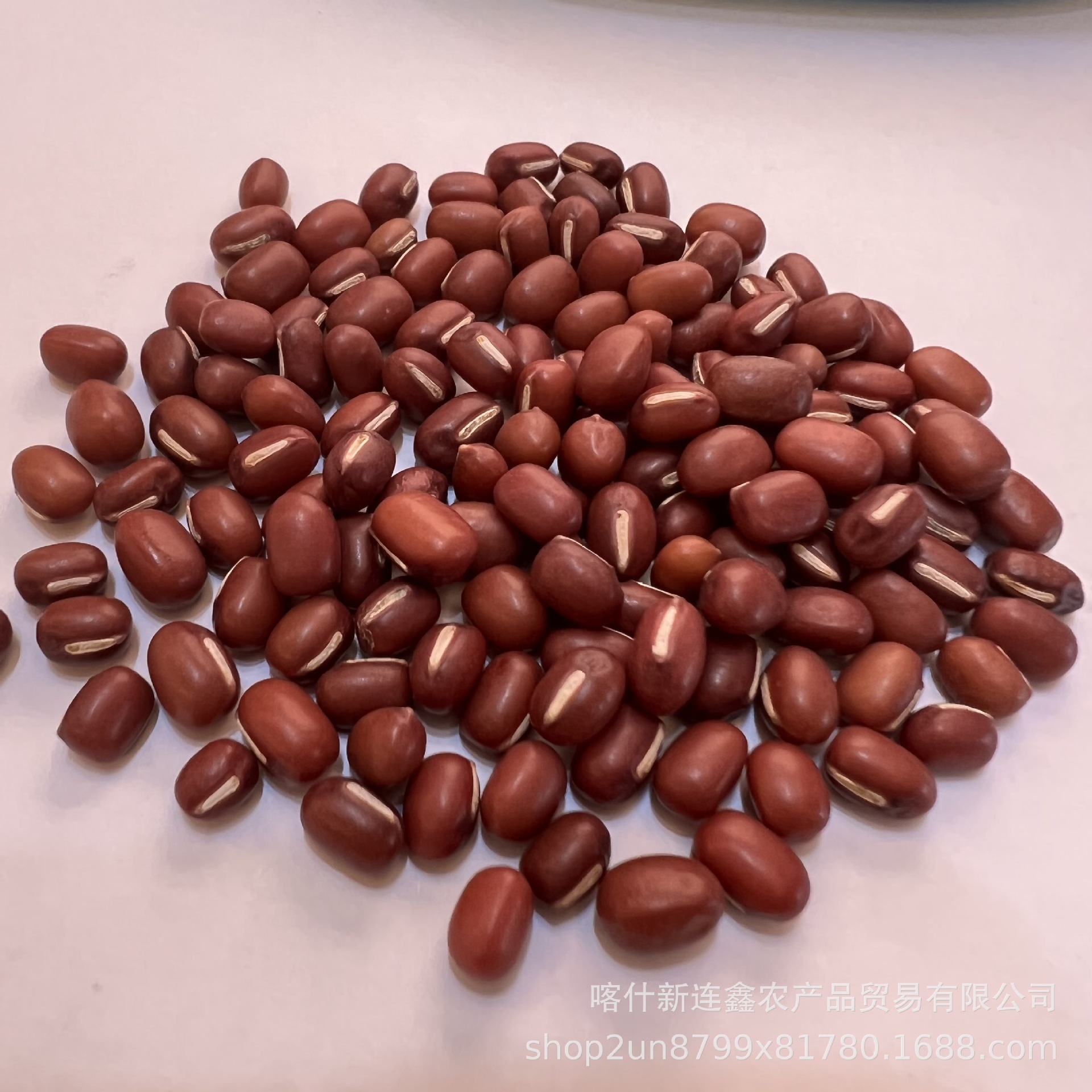 440C4FAFC2FCBAD3237F9F40020D13