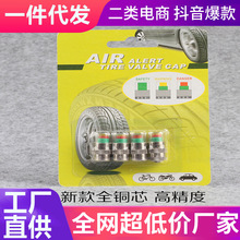 汽车胎压帽轮胎压力检测 警示气门帽金属气门嘴 不锈钢胎压监测器