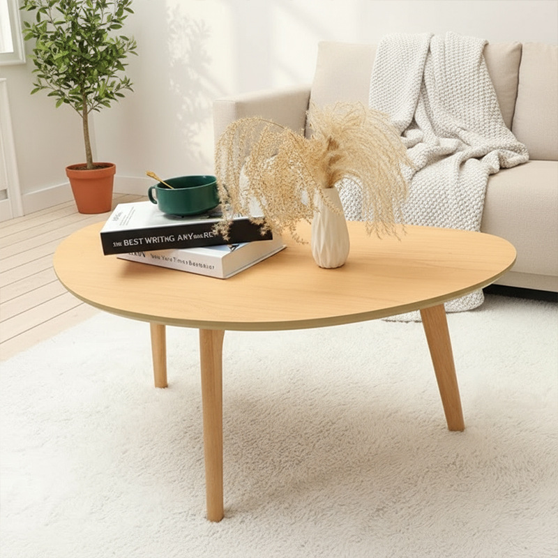 Modern Minimalist Oval Coffee Table, Living Room Sofa Side Table, Coffee Table, Amazon Cross-Border Foreign Trade Hot Seller