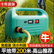 充电式抽水泵农用浇菜神器浇水机灌溉农淋菜抗旱浇地抽水机