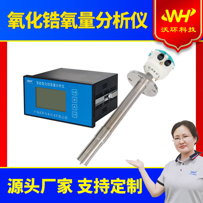 氧化锆分析仪氧量检测残氧分析仪氧含量检测器氧量计锅炉尾气检测