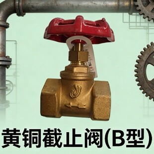 �S�~��ֹ�y B�� ���ݼy�z�� �ք�ֱͨʽ