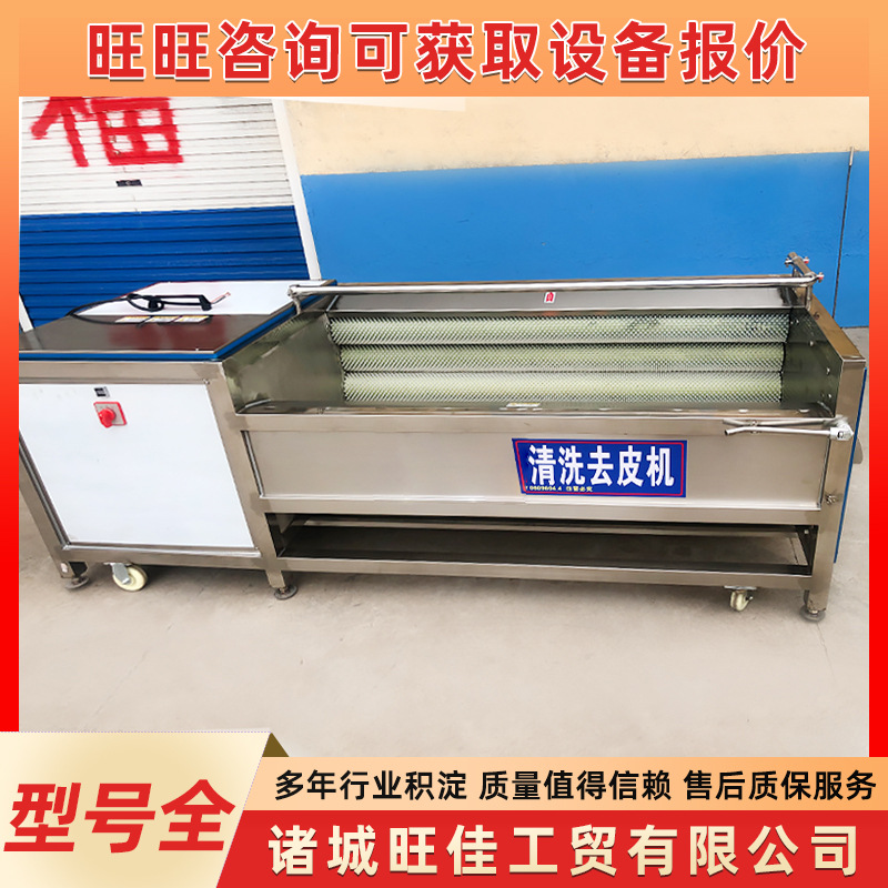 生蚝牡蛎毛刷清洗机器 莲藕去皮清洗机 大姜芋头毛辊清洗去皮机