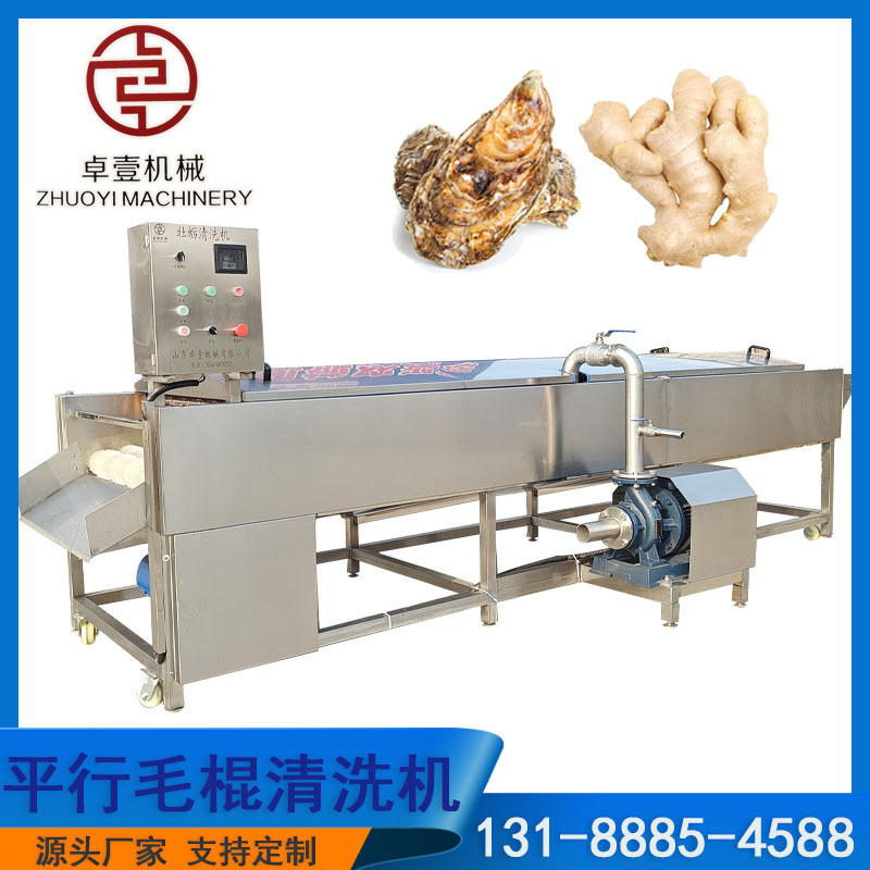 生姜芋头莲藕大枣土豆萝卜清洗机大型海虹生蚝洗泥机药材脱皮设备
