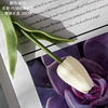 Mini Tulip Simulation Plant Simulation Flower Wholesale Foreign Trade PU Silk Furnishing Family Family Pseudo Cross -border MW01502