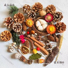 ��Ȼ�ɹ��b�Ұ�����������ɻ���֦�׃��@��������diy�ֹ�