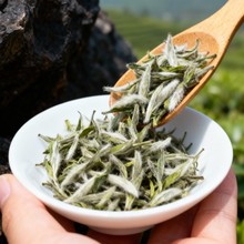 �������Օ�ײ�2025�괺��׺��yᘸ������ɢ�b500g