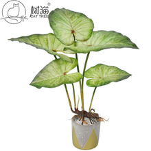 ��Ʒ���~�������~�ӎ���횴����~�k�����b������~ˮ��Gֲ����