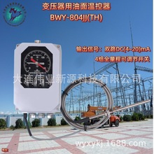 BWY-804JJ(TH)׃����������ؿ���  BWY-804D,WTYK-804D ���B����