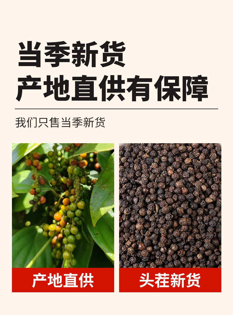 Black Peppercorns (Piper nigrum) — Whole Dried Spice, 150g Pouch for Steak & BBQ quality and texture