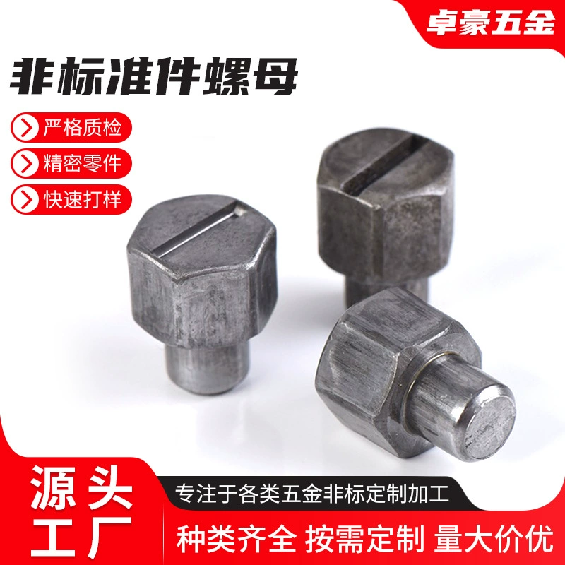 Заводская доставка специализируется на производстве различных гайки для водяного насоса _ нестандартные гайки _ мульти-модели поставки оптом