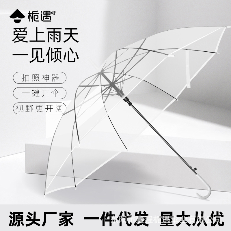 Zhiyu Transparent Umbrella Japanese Style Simple Internet Celebrity Long Handle Big 8 Bone Small Fresh Photo Artifact Large Quantity Internet Celebrity Umbrella