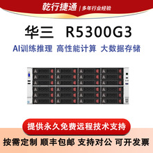 华三h3服务器R5300G3 4U2路服务器AI计算深度学习数据存储服务器