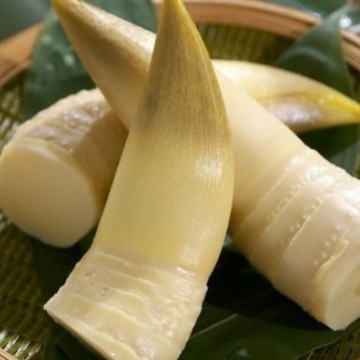 【古恬】冬笋尖1kg 清水春笋 笋尖 冬笋片 竹笋批发 冬笋罐头