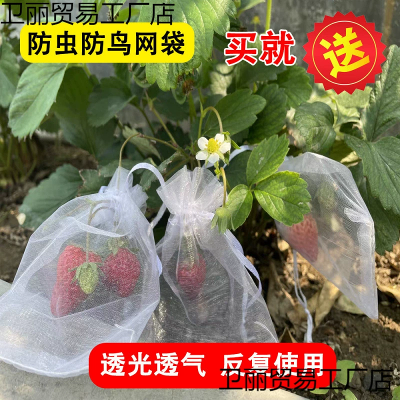 Мешок для защиты от насекомых от насекомых