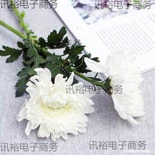 �������S�׾ջ��r����������Ĺ�����ɽ����V�ݻ������f���l