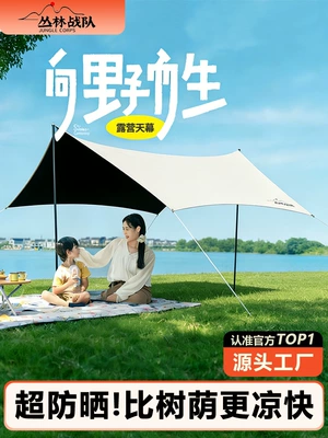 Avtomobil yan çətirləri: Tent Outdoor Large Black Vinyl