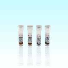 Beaver������Լ{���w��(200nm)70300-10,10mL100mg/mL�������F��