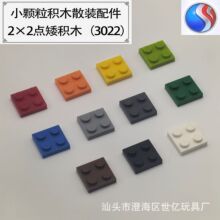 С������ľ������3022���ƴװ���2*2��ש0.5kg��ͯ��������ɢװ