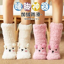 �ӽq�Ӻ�ɺ���qŮʿ�ذ��m�ﶬ�������m�����Ӽҿɐ�Ů���غ��m��