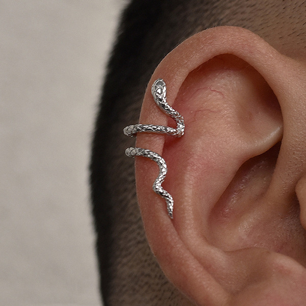 Ear clips