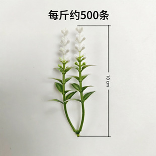 ������滨ֲ�����ˮ�����ϼپGֲ�辰�b��Ʒdiy�S�����l