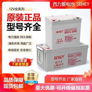 ������늳�SH-NPG12V24AH100A65AH40A38A17A120�C��UPSֱ��������