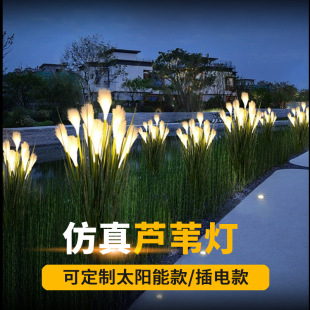 led�JȔ���ز�������ˮëë�JȔ�����^�������b���ƺ��