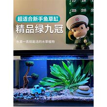 ���~�G�Ź�ˮ��ֲ���~�׹ŷ��B�~�����ˮ��Gֲ��ԑ����쾰�ʹ�