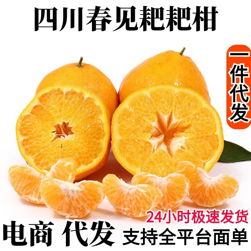 四川春见耙耙柑一件代发耙耙柑水果粑粑柑橘子非丑橘批发代发包邮