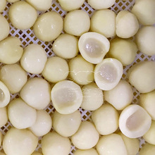 ҸɺəC ҹ ՚ܟˮO ɷ