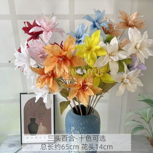 �¿���滨3�^С�ٺ� ��c��Y�ñ���ܛ�b �Ƶ�ҾӲ��� �ٻ����l