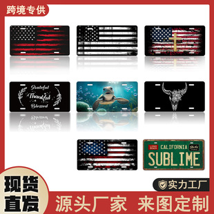 Cross-Border Popular American Flag Personalized License Plate Iron Painting Creative Iron Painting Decoration Iron Painting Factory Wholesale