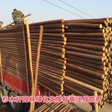 批发支撑杆杉木杆高压线防护园支树杆种类多价格面议