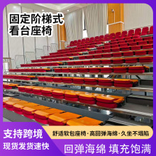 固定看台座椅礼堂影院伸缩阶梯式翻板折叠椅学校室内活动手动排椅