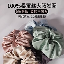 2026�¿�30ķ��ɣ�Q�z����c��z�lȦ4cm/6cm/9cm/��ʽ�Ӻ�l�