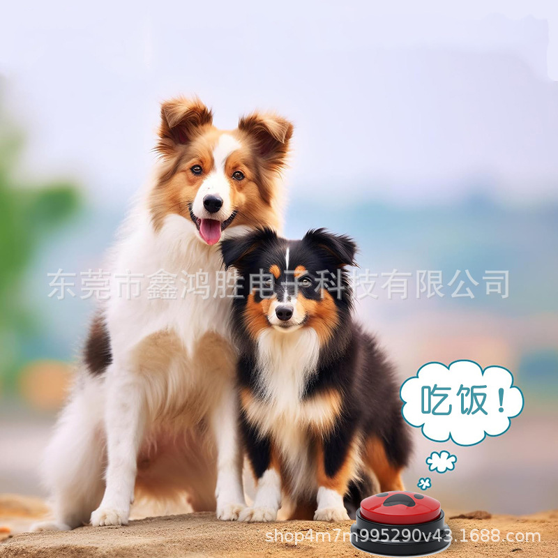 Juguete de entrenamiento con botón de sonido para perros, caja de grabación con botón de presión, juguete interactivo para perros y gatos.