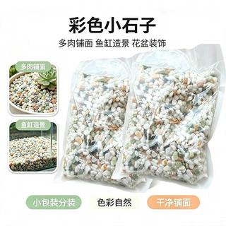定制五彩石子小彩石玉石款五彩石鱼缸造景花卉多肉铺面五彩石子