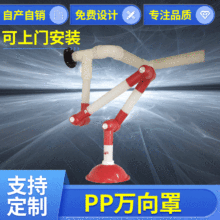 ������f�����L��pp����������Ƅ����L�ּ������ş��� PP�f����